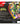 Pokémon TCG: Mega Evolution—Delta Reign 3-Booster Blister – product detail