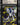 Mega Absol ex 161/132 Mega Evolution CGC 10 Gem Mint front