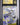 Mega Froslass ex 265/217 Ascended Heroes CGC 10 Pristine front