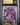 Drapion 097/088 Perfect Order CGC 10 Pristine front