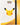 Pokémon 30th Celebration Binder Collection artwork detail