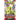 Pokémon Obsidian Flames booster pack | Scarlet & Violet-Cata-Collect