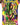 Pokémon TCG: Mega Evolution—Delta Reign Sleeved Booster – Mega Rayquaza artwork