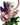 Pokémon TCG: 30th Celebration Figure Collection—Mew – Mew figure
